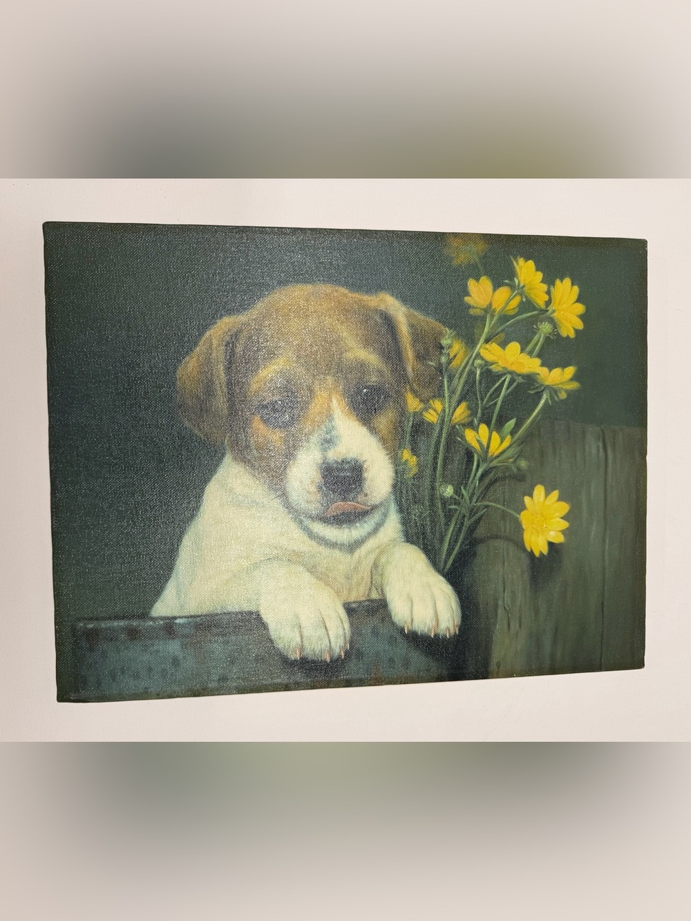 Brown and White Puppy Canvas Wall Art - Pets Dog
